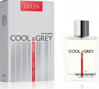 Туалетная вода Дилис Dilis Cool & Grey Sport 100 мл - Интернет магазин парфюмерии и косметики "Aromabufet", Екатеринбург